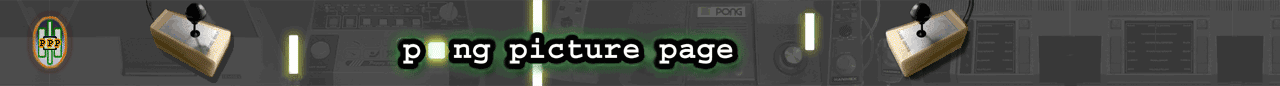 PONG Picture Page